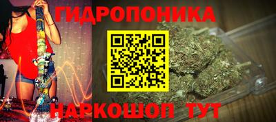 гашик Волгодонск