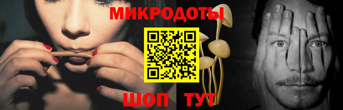 Псилоцибиновые грибы GOLDEN TEACHER Нерюнгри